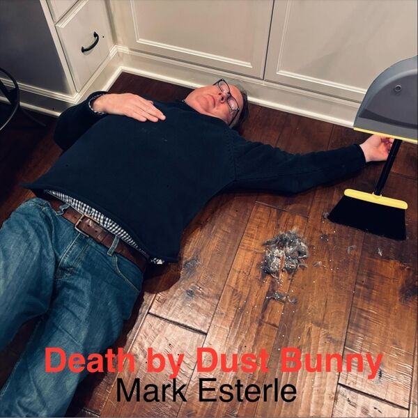 Cover art for Death by Dust Bunny